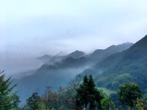 秋风探雨雾看云山的优美散文