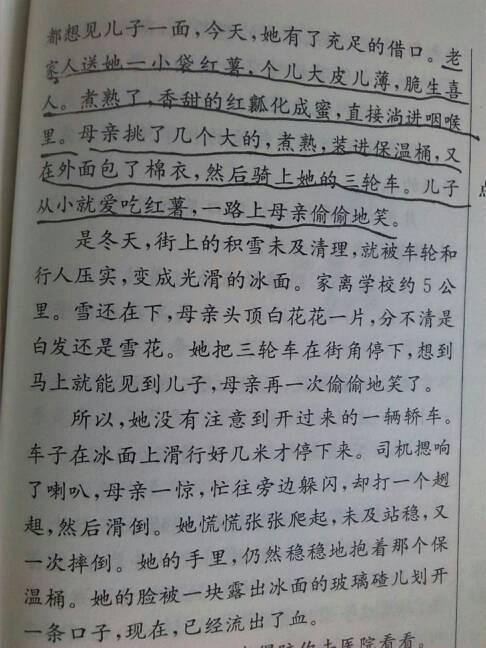 初二别样的亲情作文800字