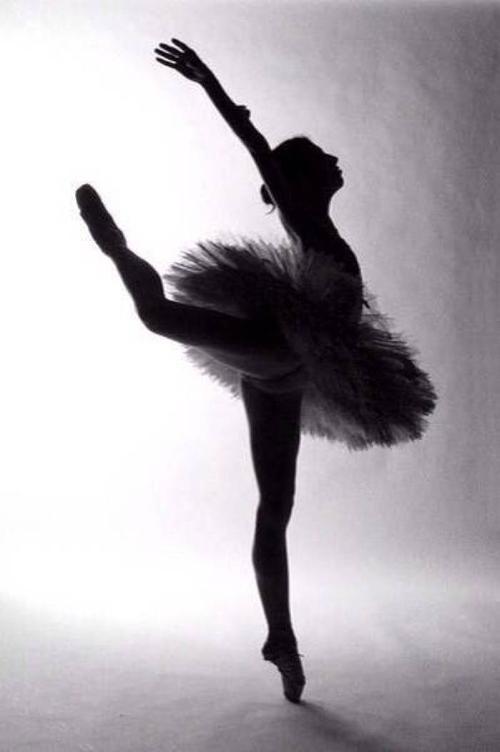 芭蕾――舞出人生的精彩-优秀记叙文800字