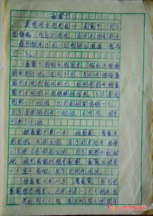 挖白薯作文450字