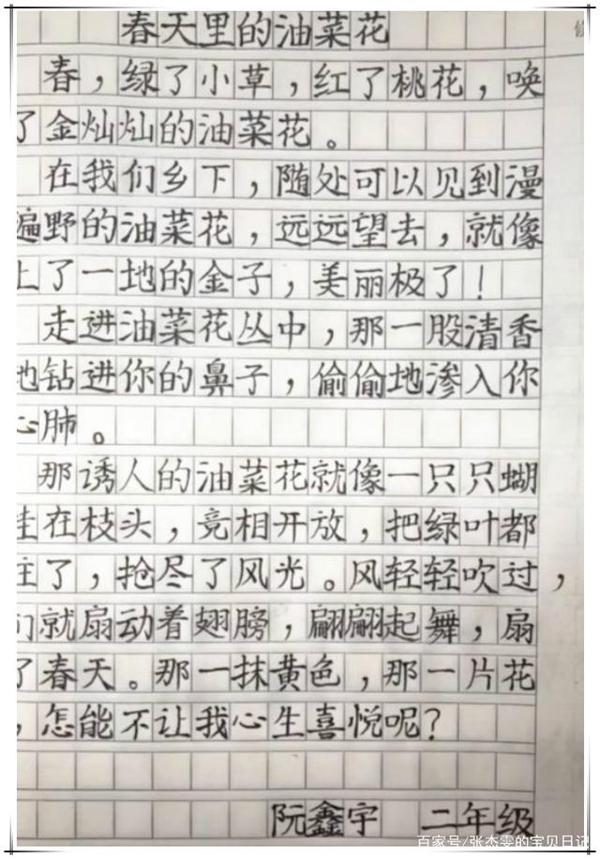 小学生满分作文走红，字体工整有文笔，老师自叹不如：字太漂亮了 1