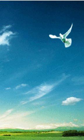 丑小鸭也可以拥有海阔天空 读《海阔天空――不低头，更精彩地活》有感800字