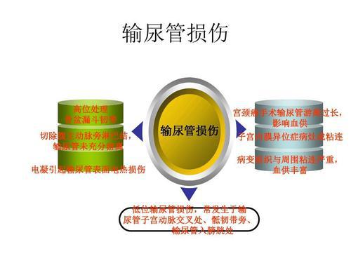 妇科腹腔镜手术致泌尿系统损伤6例探析论文