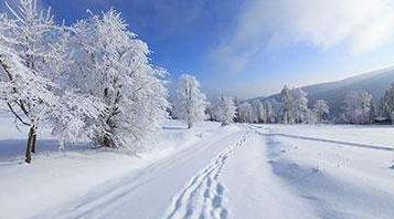 雪 美丽的雪景作文300字