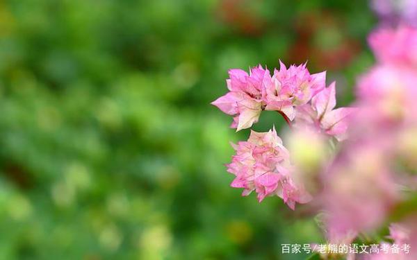 高考作文辅导60：文化无定格，贵在鲜活（争议性时评写作） 2