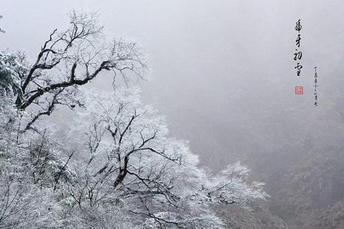 初雪散文一篇：观雪随感