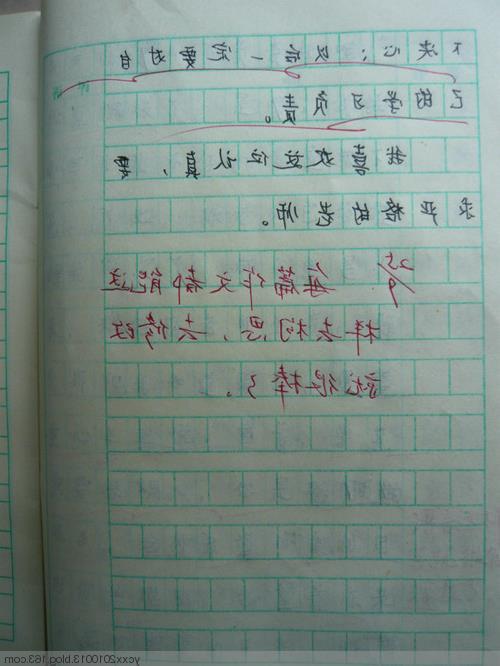 6年级中国传统文化作文4篇