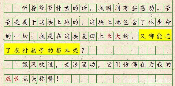 初中语文，扣住时代主题站到立意制高点，厚重大气的作文更受青睐 6
