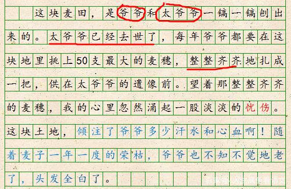初中语文，扣住时代主题站到立意制高点，厚重大气的作文更受青睐 4
