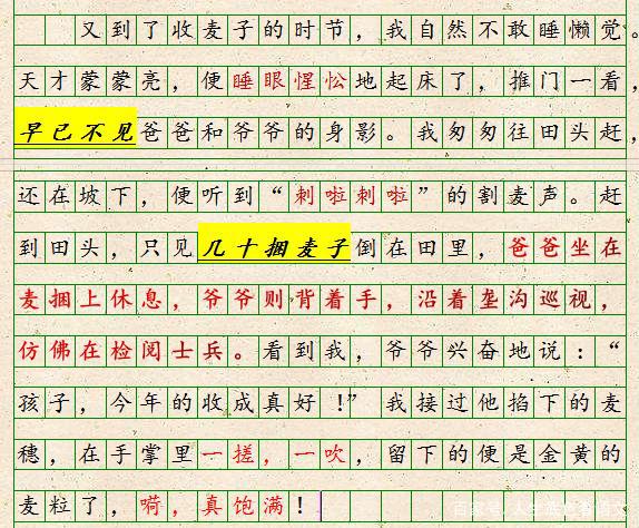 初中语文，扣住时代主题站到立意制高点，厚重大气的作文更受青睐 3