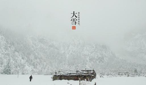 大雪 我爱冬天的雪作文500字