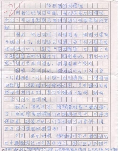 校园里的新鲜事五年级作文300字