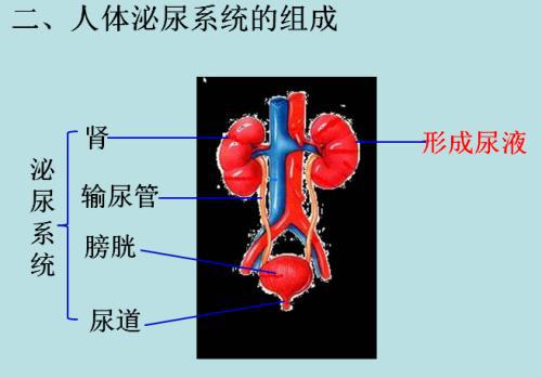 妇产科手术致泌尿系统损伤原因分析论文 1