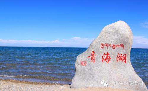 游青海湖 关于去青海湖旅游的作文700字