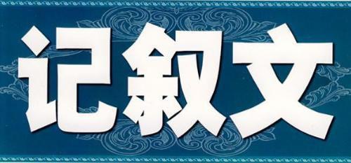 这位司机真了不起 初中记叙文600字