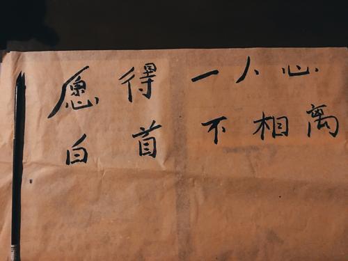 七年级生活随记600字