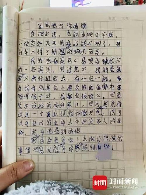 爸爸在一线，我是后勤兵 写事的作文300字