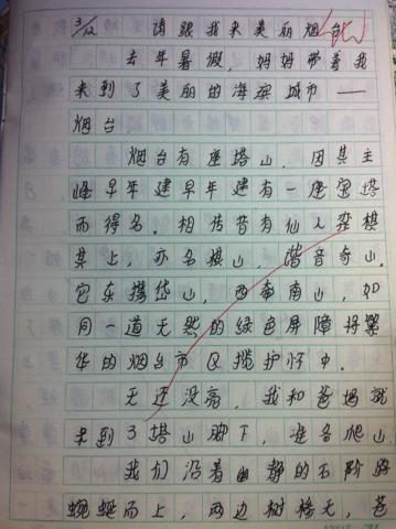 认真写好每一笔 学书法作文600字