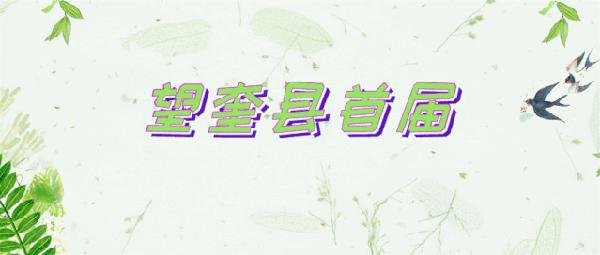 【作文大赛】望奎县首届“哈尔滨银行杯”作文大赛投票正式启动，快给喜爱的选手投票吧
