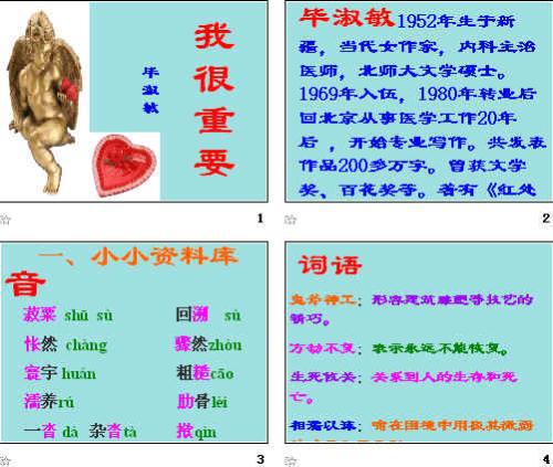 我很重要的作文八篇