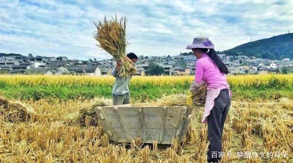 北京大学研究生一篇作文，可入选小学语文课本 10