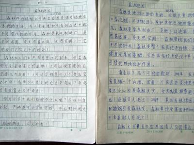 庇护森林作文550字