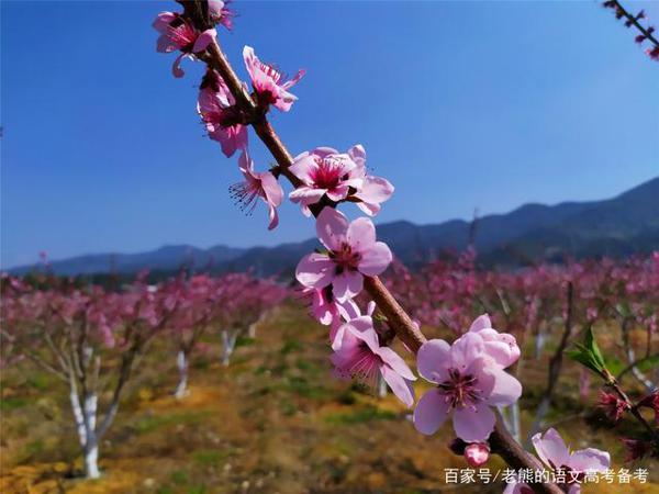 高考作文辅导15：变的是方法，不变的是初心