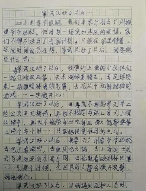 《等武汉好了以后》小学生500字作文，道出全国人民心声！泪奔 2