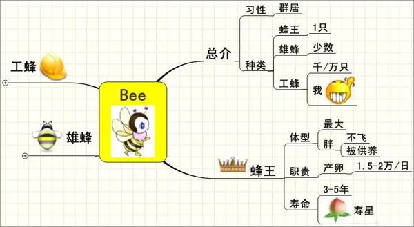 思维导图作文 28