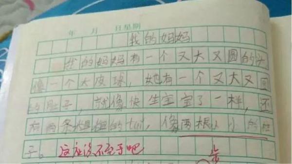 千万不要随便看小学生的作文 11