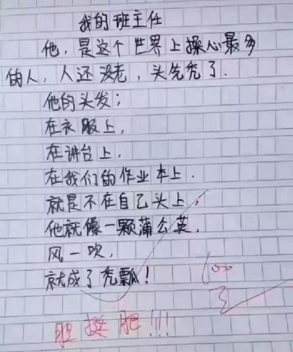 千万不要随便看小学生的作文 13