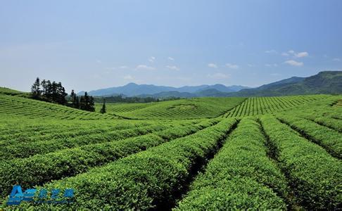 江西丘陵地区水肥一体化技术的运用论文