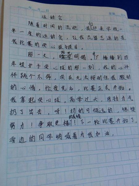 让实心球飞 难忘的运动会作文400字