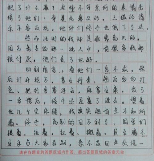 高一叙事作文：逛灯会啦_900字