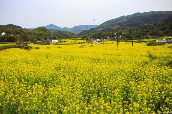 会写各种文体、发表无数文章的我，差点被同事孩子的作文逼疯 1