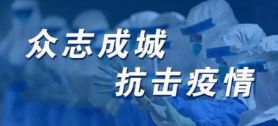 2020抗击疫情作文1100字 众志成城，抗击疫情