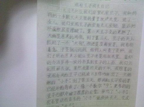 小花日记 三年级观察日记400字