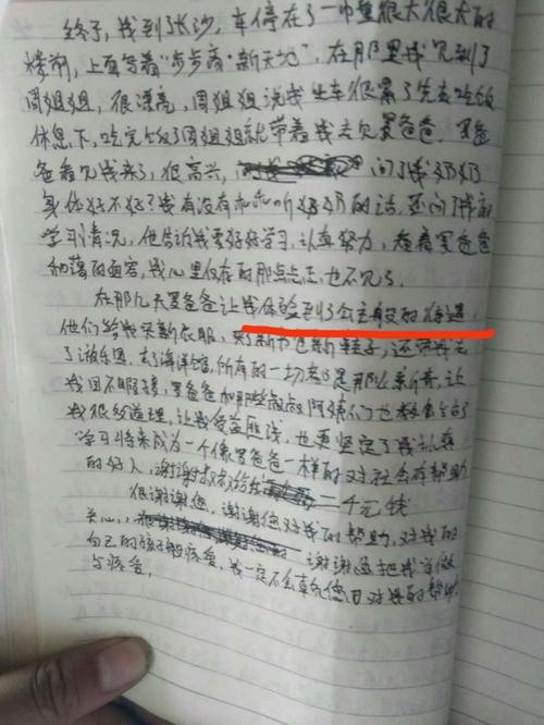 大山 我的父亲作文500字