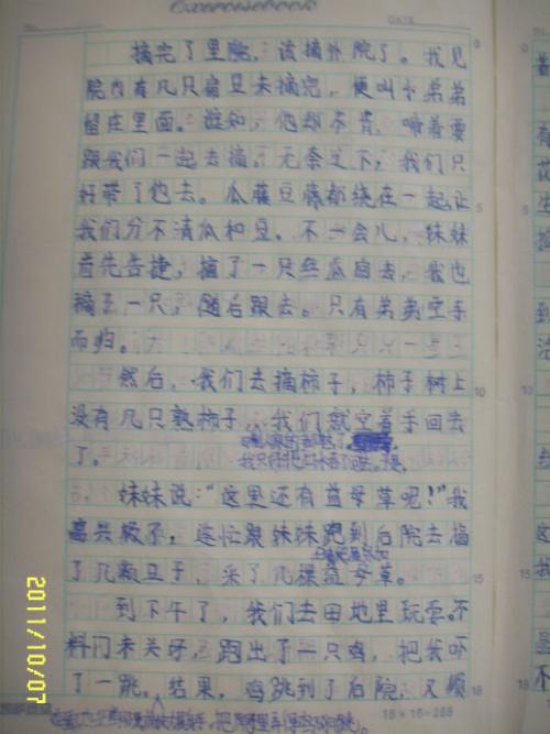 乡情-关于家乡的作文600字