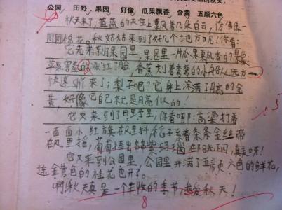 我心中的“海豚号”-优秀想象作文600字