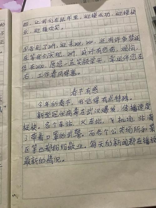 【温暖】松潘：10岁儿子两篇作文让一线父母流泪 1