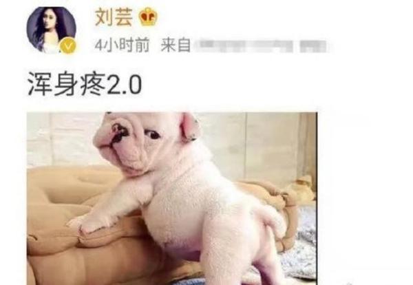 姐姐们录节目有多累？连最爱写小作文的伊能静都停笔了，你说呢？ 2