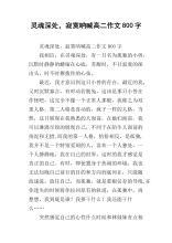 寂寞 关于寂寞的作文800字