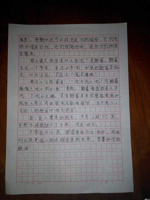 2018小生首场满分作文：我依然爱你_900字