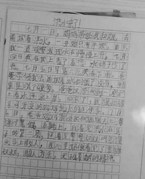 二级叙事作文：国际象棋文化节_300字