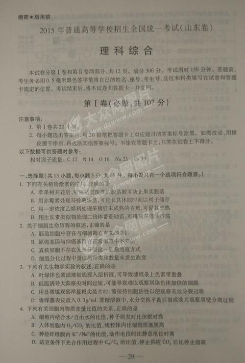 2015山东高考零分作文：你是我的小丝瓜