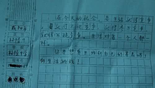 2012安徽纸业高考零分作文：躺下来任枪_1500字