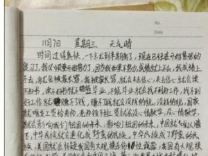 诚信论文：诚信困惑_900字