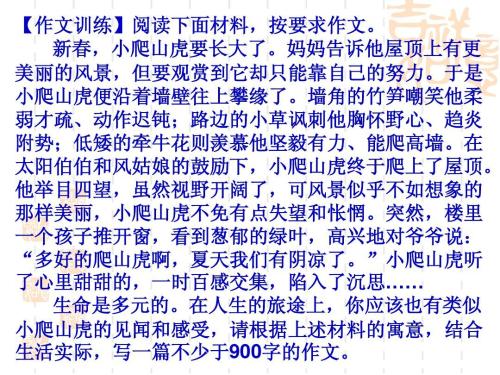 关于悲伤的构图：一件悲伤的事_900个单词