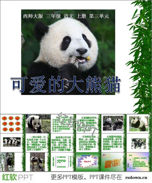 我最喜欢的animal_500字